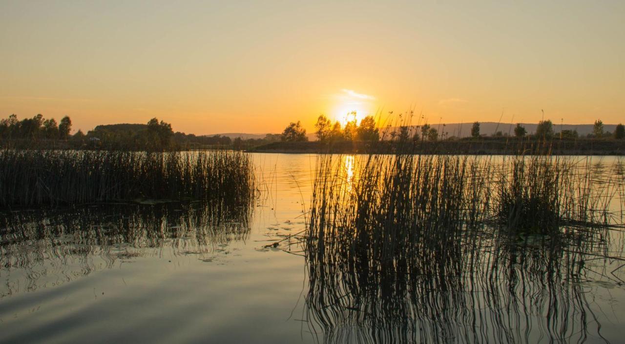Camping Aux Rives Du Soleil Pont-de-Vaux Exteriör bild